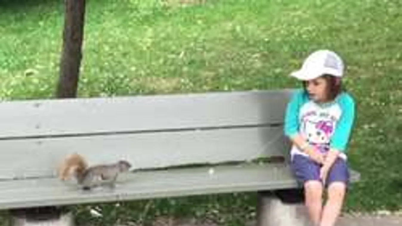 Ilyen eszement ötlet csak egy apukától származhat!