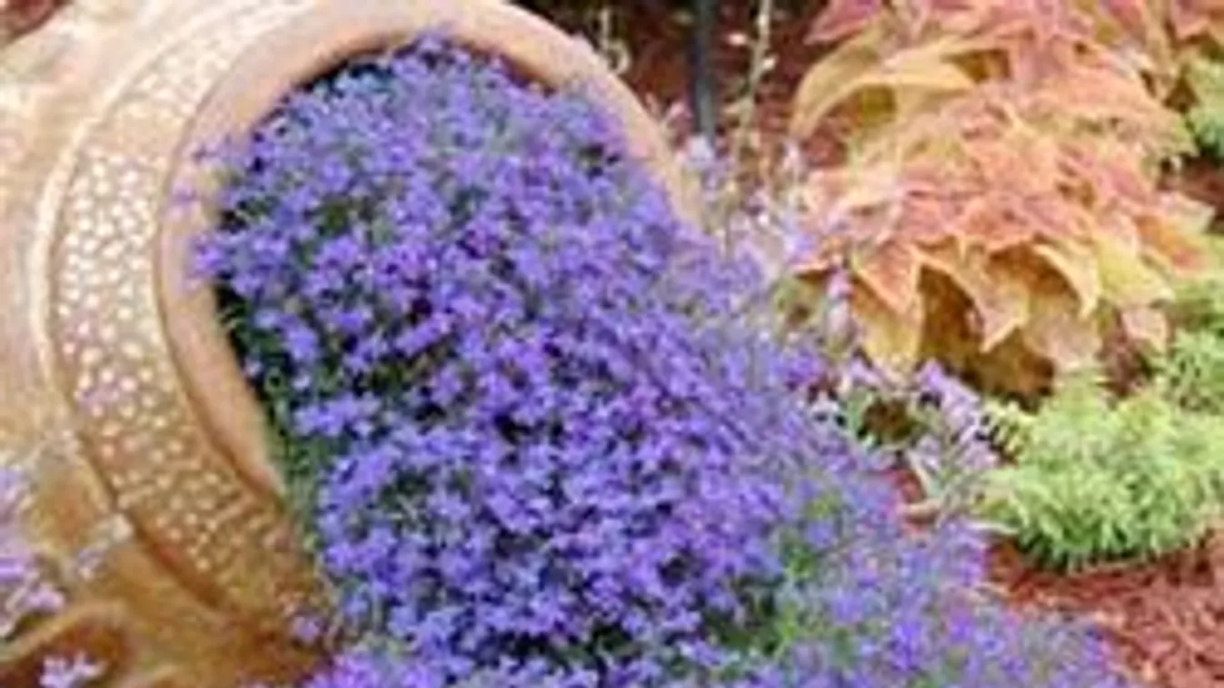 7 jópofa ötlet, ha eltörött a virágcsereped