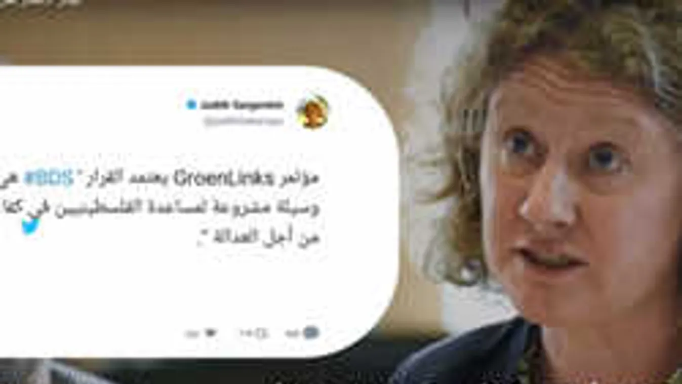 Sargentini pártja ellen tüntettek a hollandok