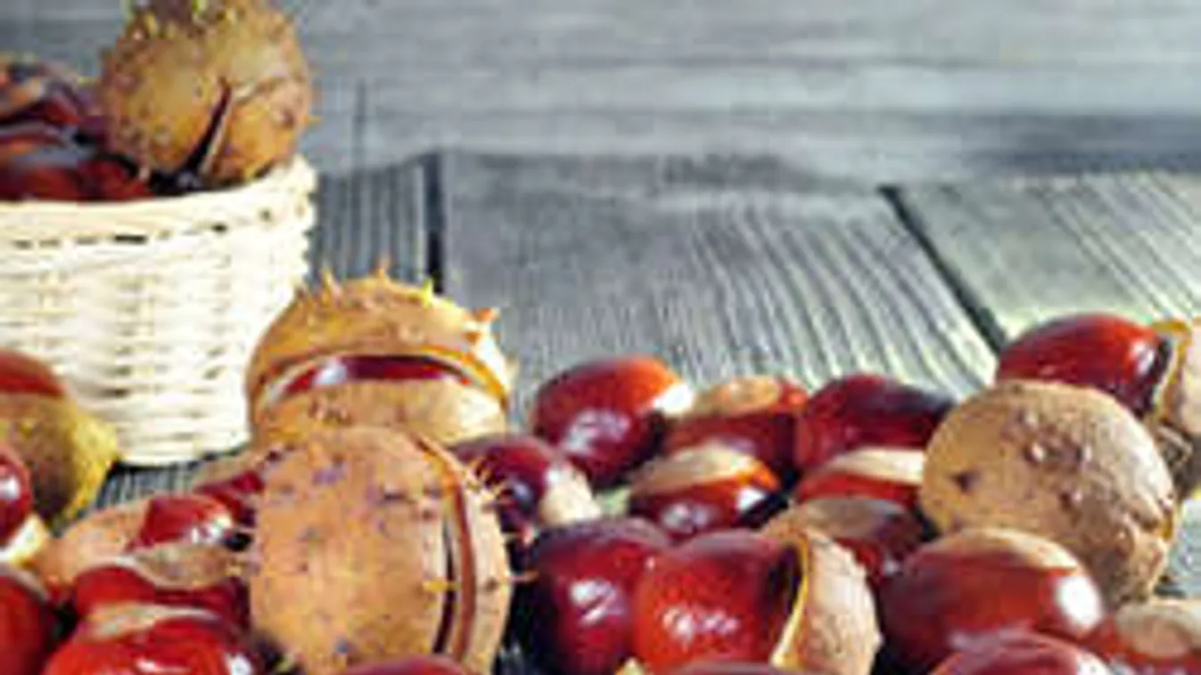 Végre itt az ősz! Így moshatsz olcsón vadgesztenyével