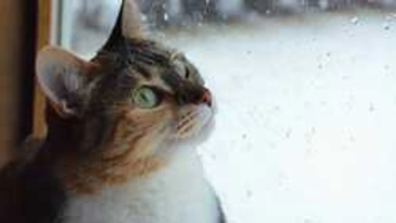 Vészjelzést adtak ki: jégeső és viharos szél teszi tönkre a hétvégét