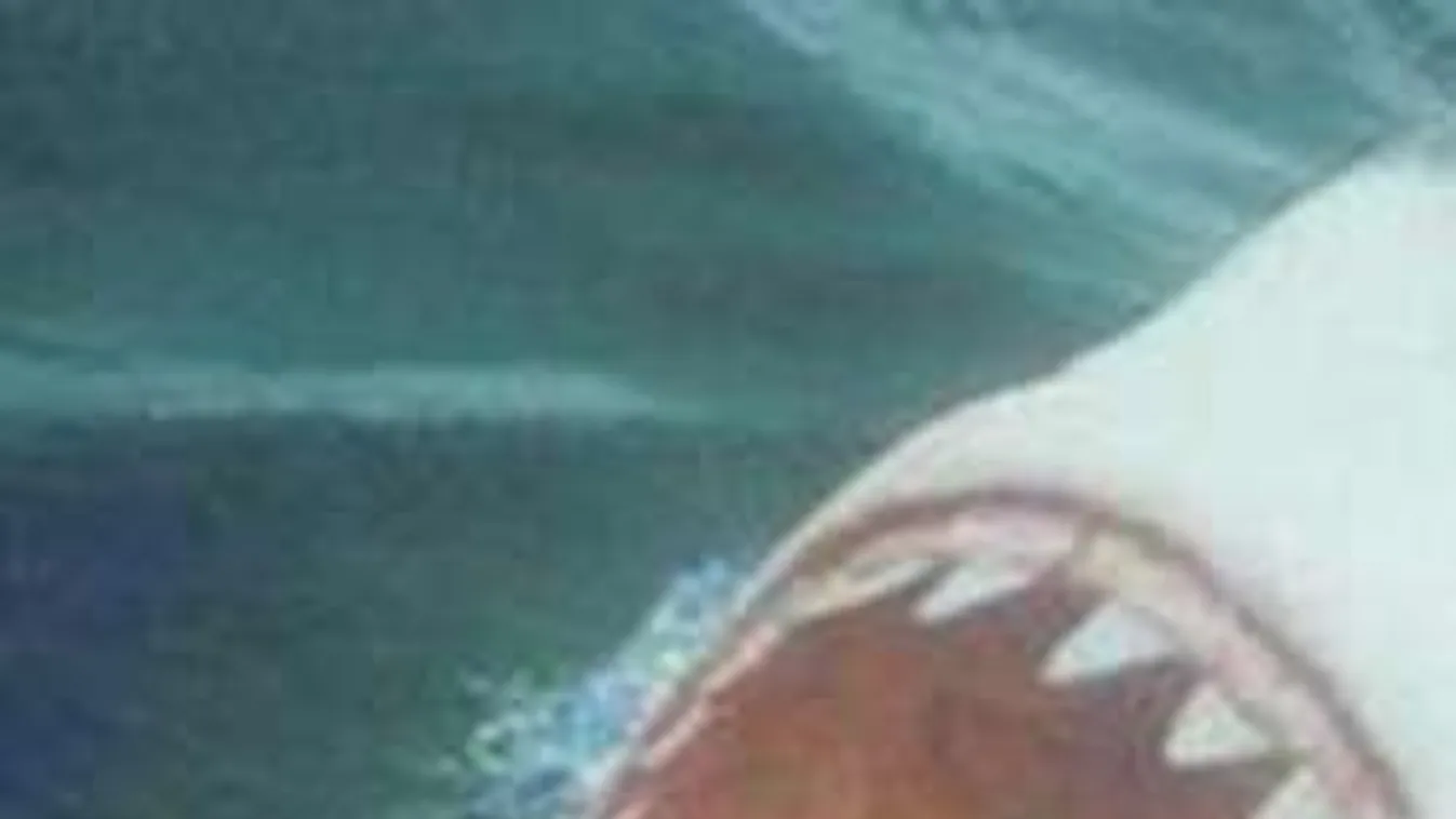 Ennél  meglepőbb ma már nem lesz: Öngyilkos szelfizők  a cápa szájában