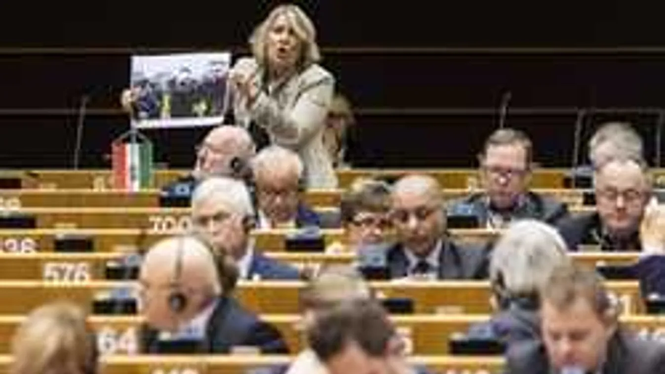 Kutyakomédia Brüsszelben a "Soros-szeánszon"