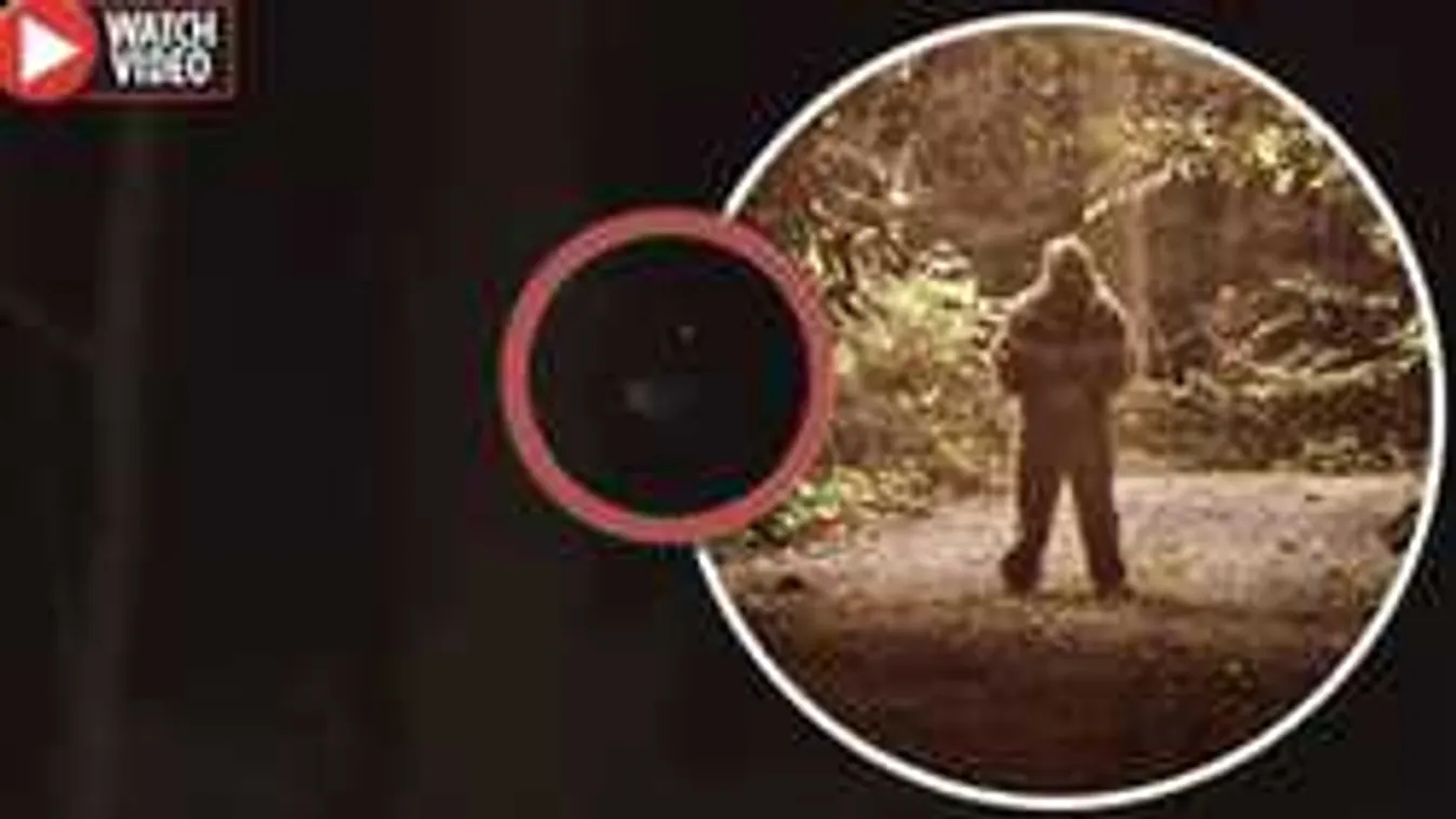 Hátborzongató, mit rögzített a kamera éjjel az erdőben