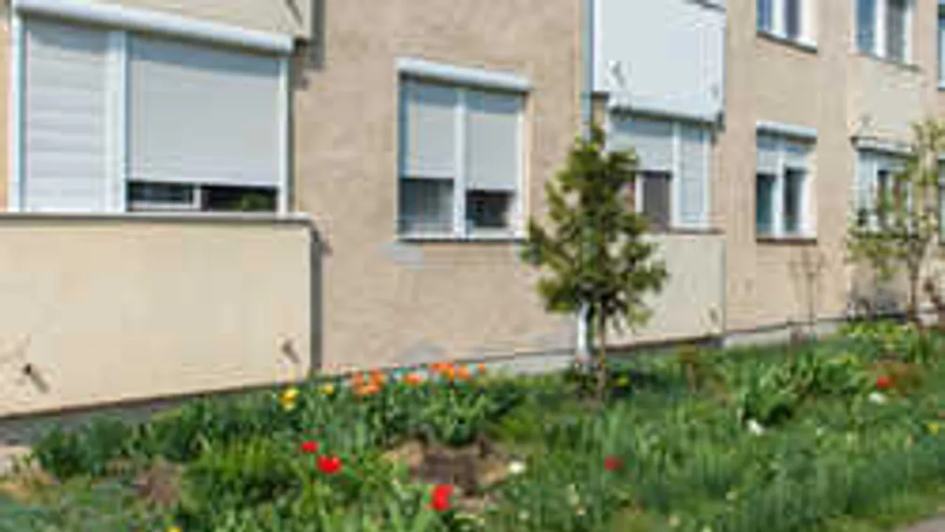 Rózsái miatt kerülhet börtönbe a 72 éves Sárika