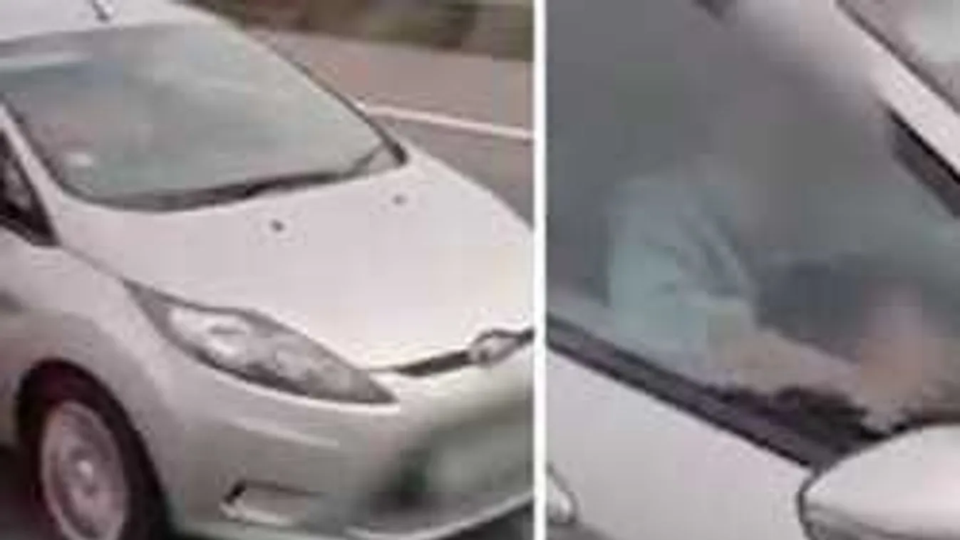 Vad orálozást videóztak a sztrádán, csoda, hogy nem történt baleset