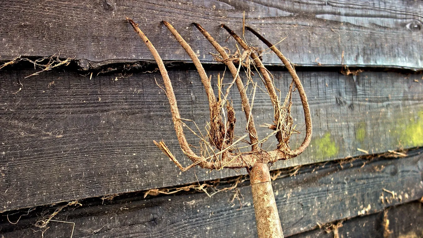 Vasvillával támadt kormánytisztviselőkre egy férfi Csongrád-Csanád megyében