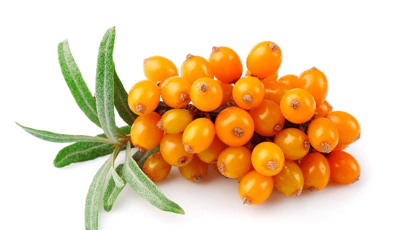 A természet gyógyító adománya valóságos C-vitamin bomba