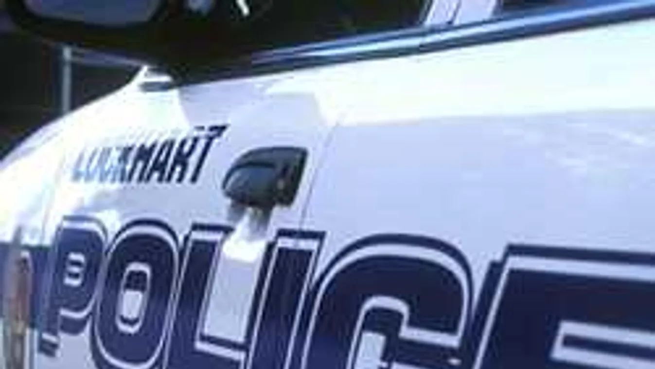 Vonatülések alatt rejtőző illegális migránst fogtak el a rendőrök