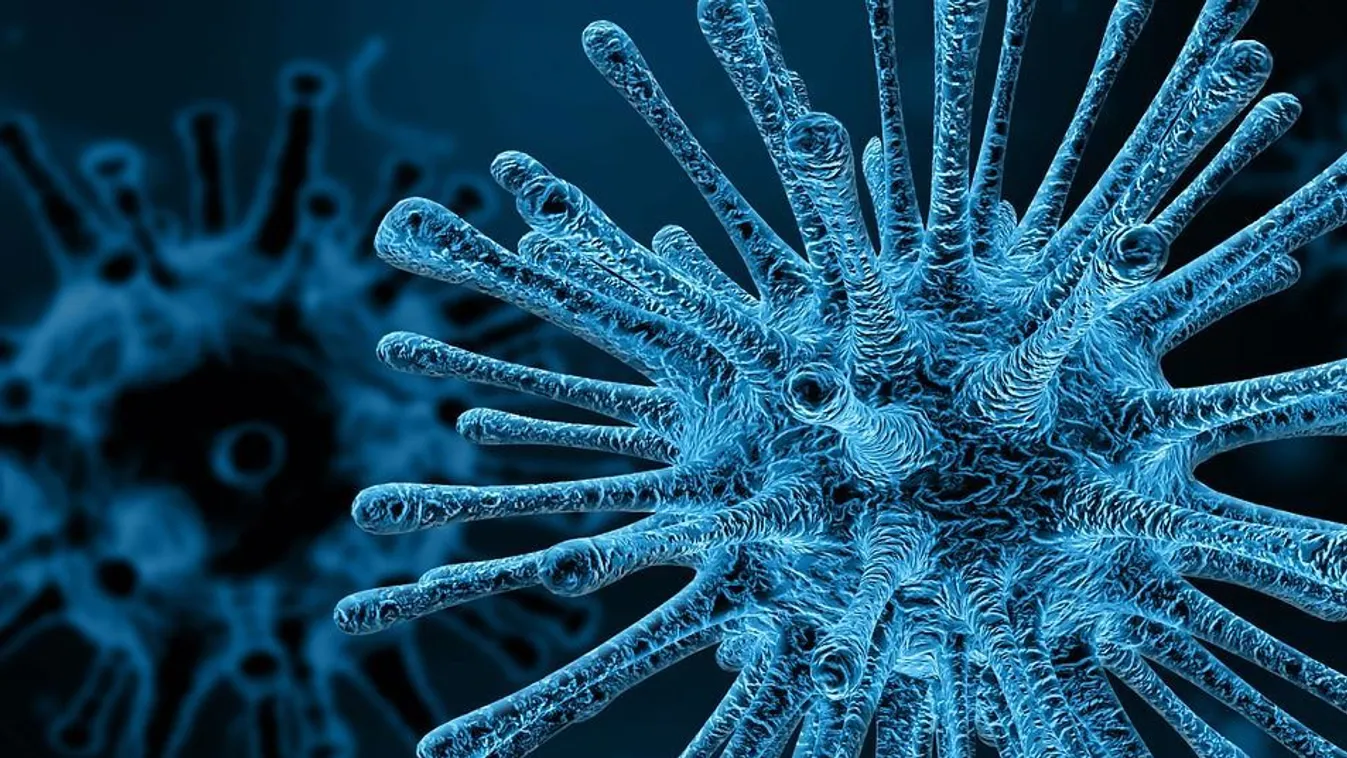 Koronavírus: elkészült az operatív törzs akcióterve