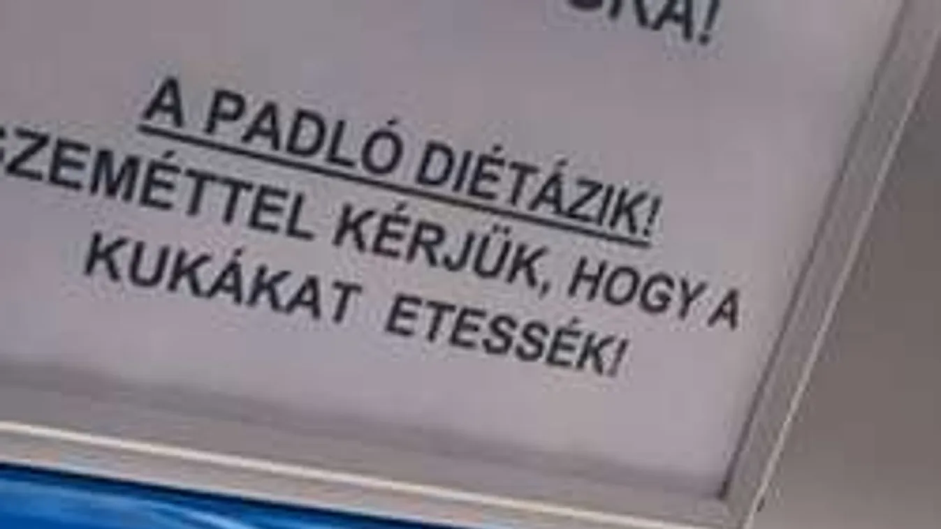 A nap felirata: stílust váltott a BKK