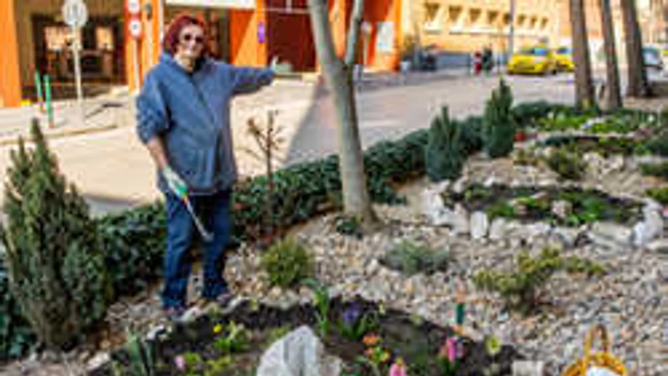 Õrület, mit művelt a panelház tövében az óbudai nyugdíjas nő