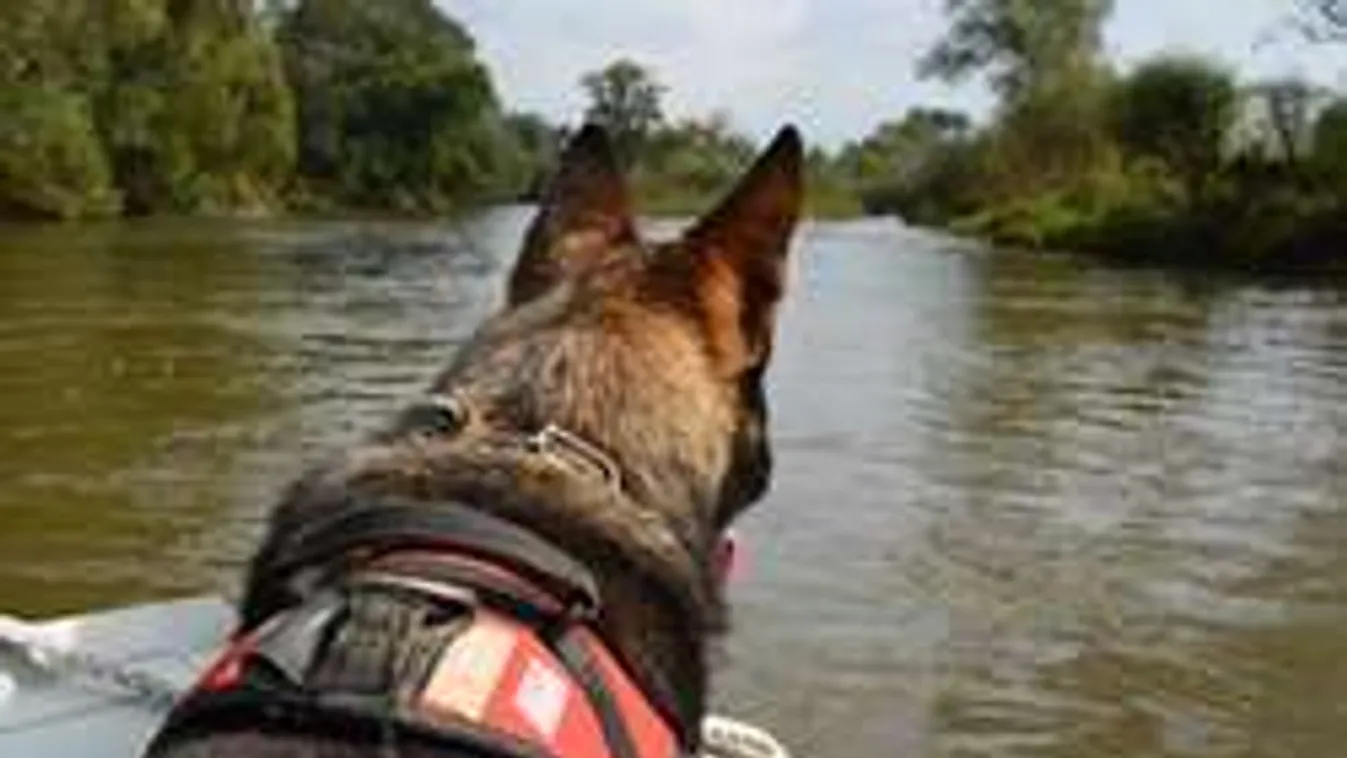 Mentőkutyák, quadok és drónok keresik az eltűnt bácsit Balatonfűzfőn