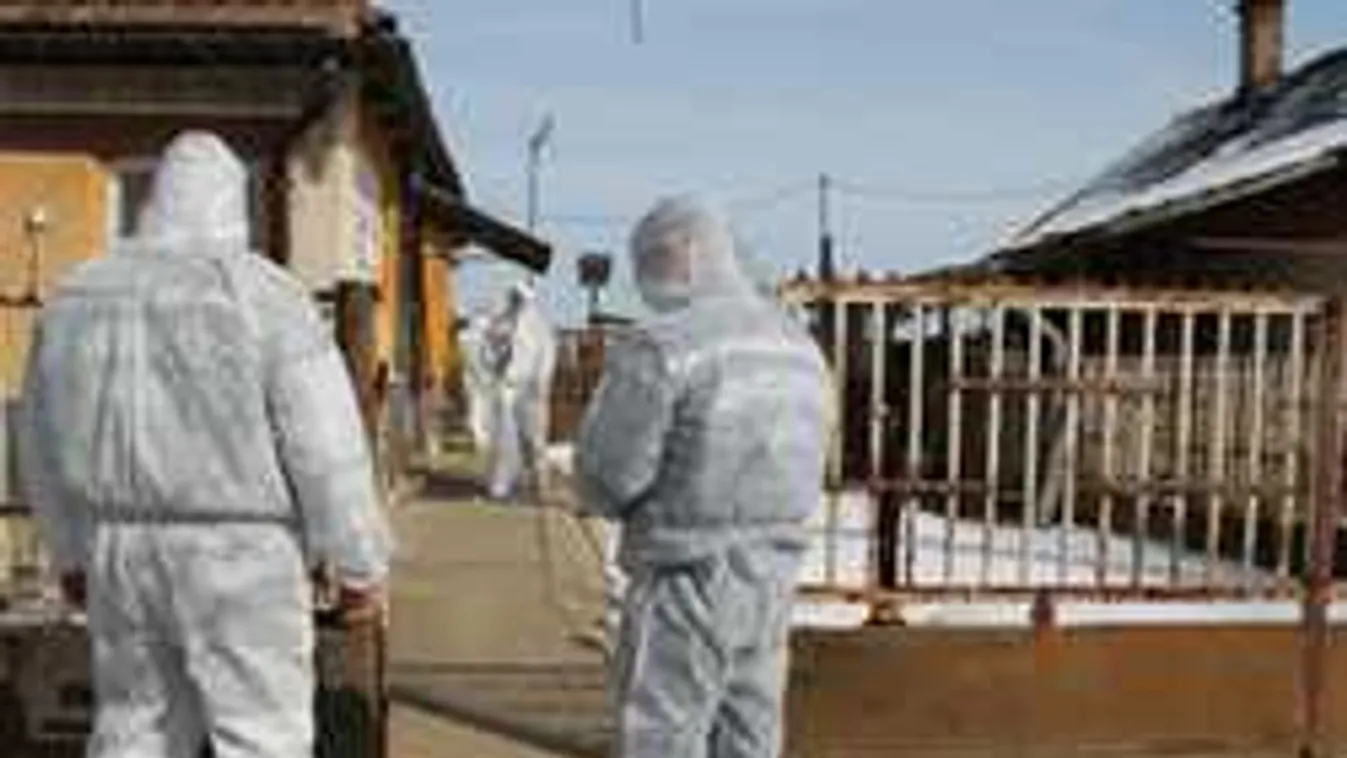 Brutális: pincéjében rejtegette a holttestet egy szabolcsi férfi - Videó