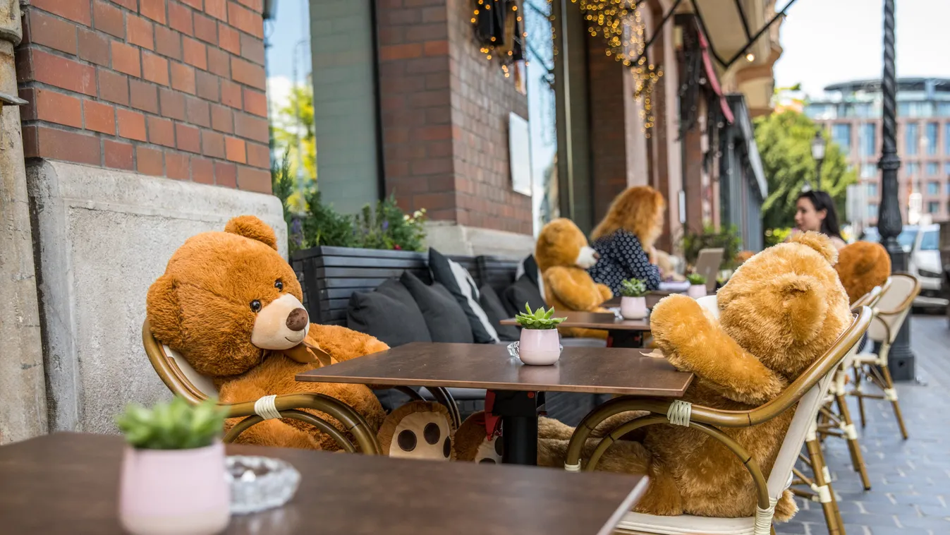 Plüssmackókkal várja a vendégeket egy budai étterem