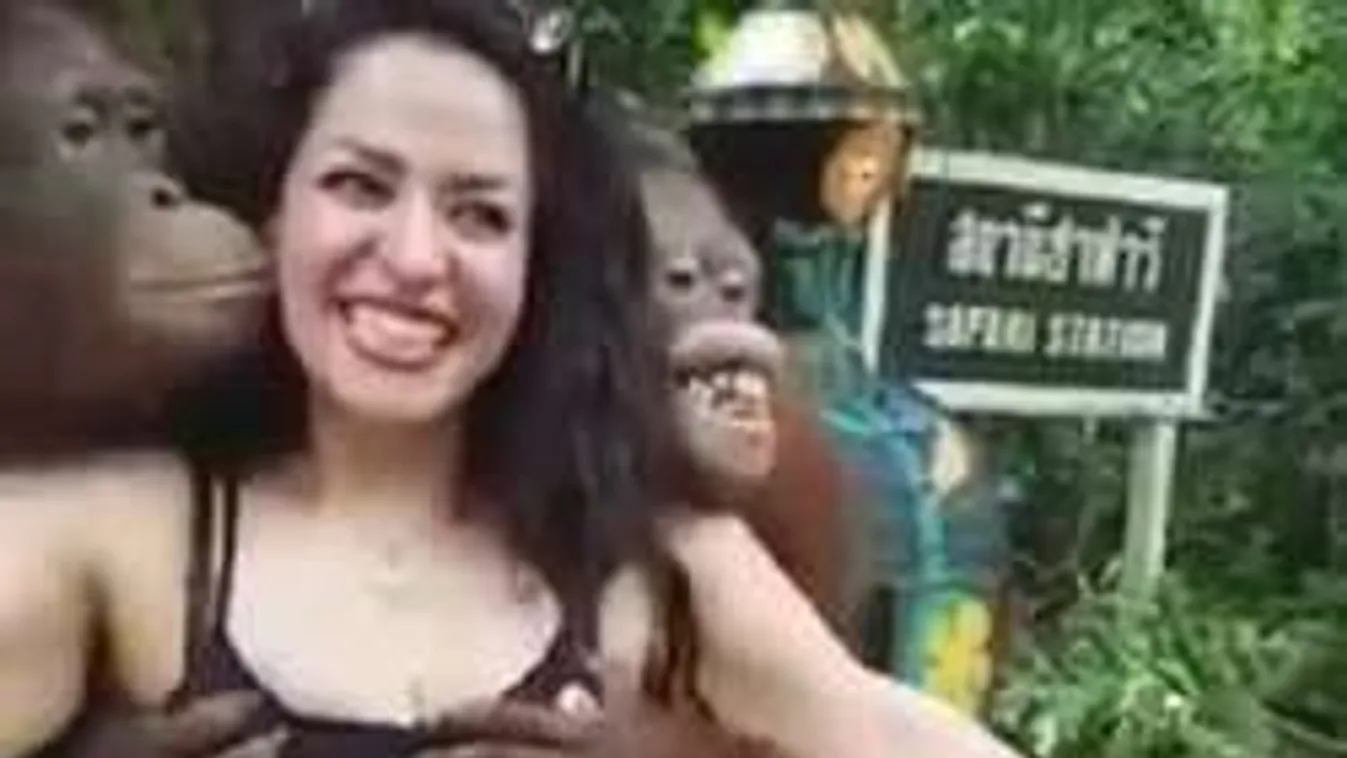 Ilyen perverz organgutánt még nem láttál: úgy csöcsörész, mint senki más!