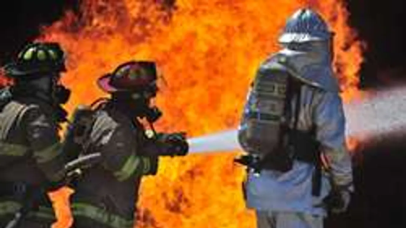 Hatalmas tűz Egernél, veszélyben egy kutyamenhely!