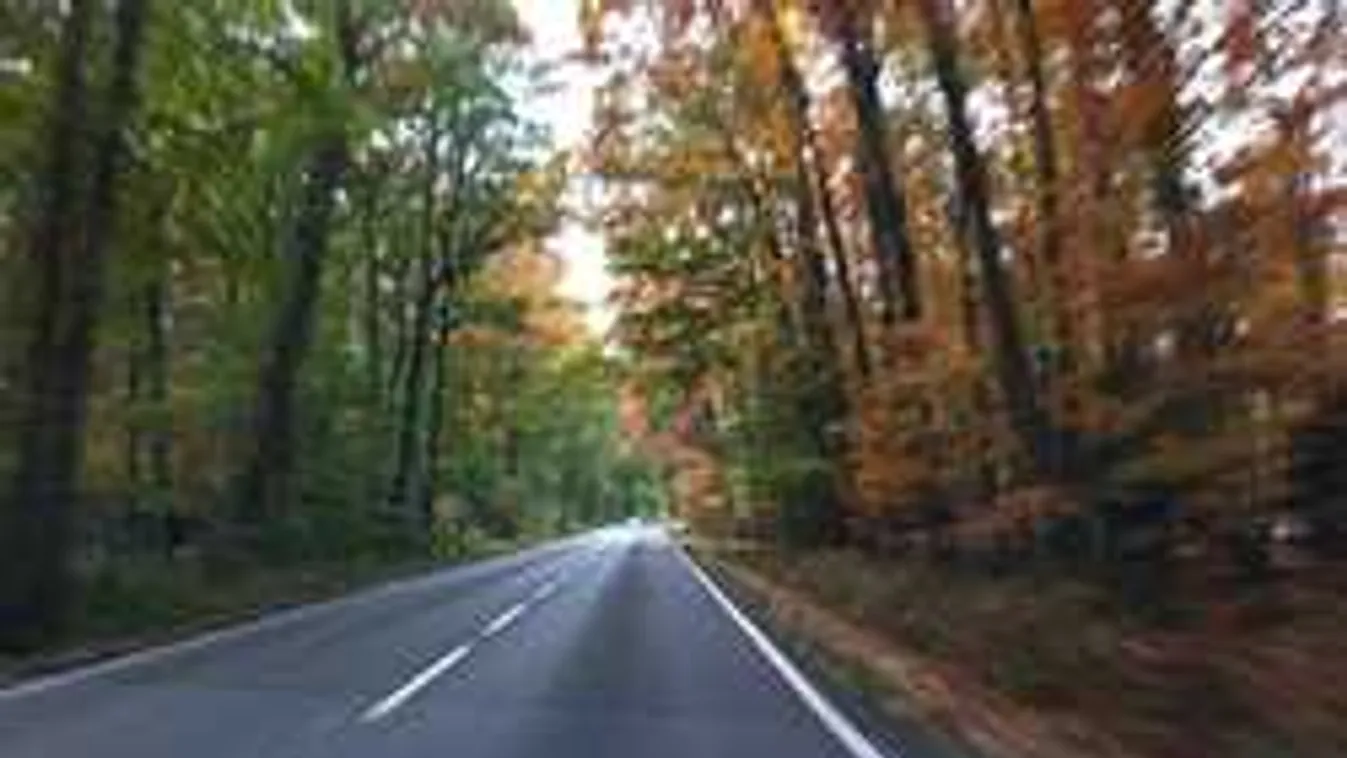 Újabb 15 kilométeren újul meg az 55-ös főút, kerékpárút is készül hozzá