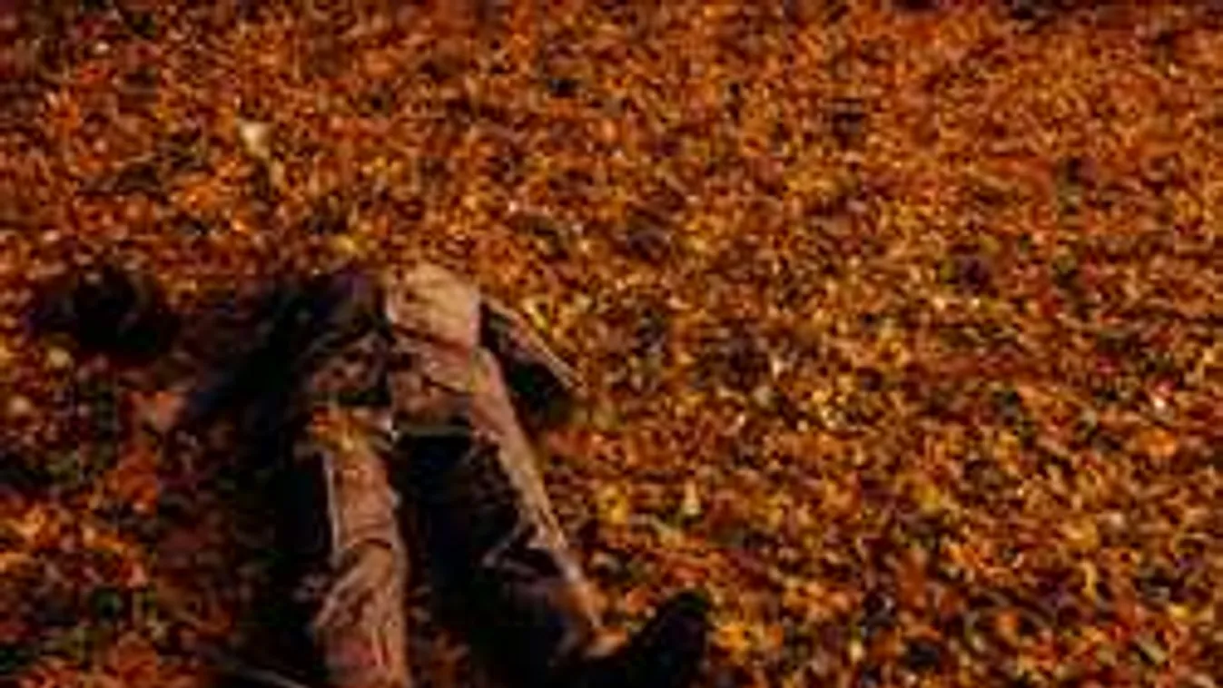 Dráma az utcán: holttest hevert az üzlet előtt