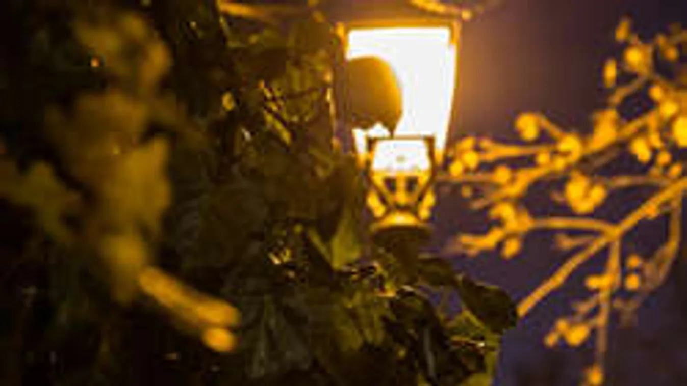 Rettegnek a lakók sötétedés után a Naphegyen