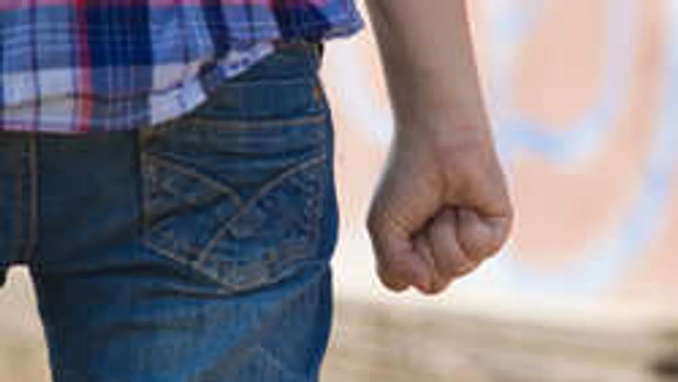 Gyorshír: Tömegverekedés Monorierdőn