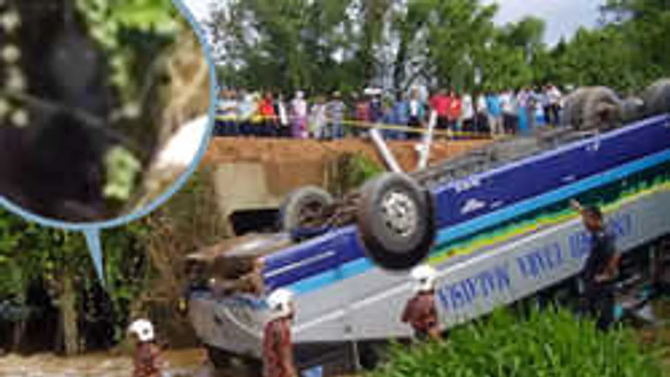 Rémisztő dolgot fedezett fel a buszbalesetről készült képén egy fotós