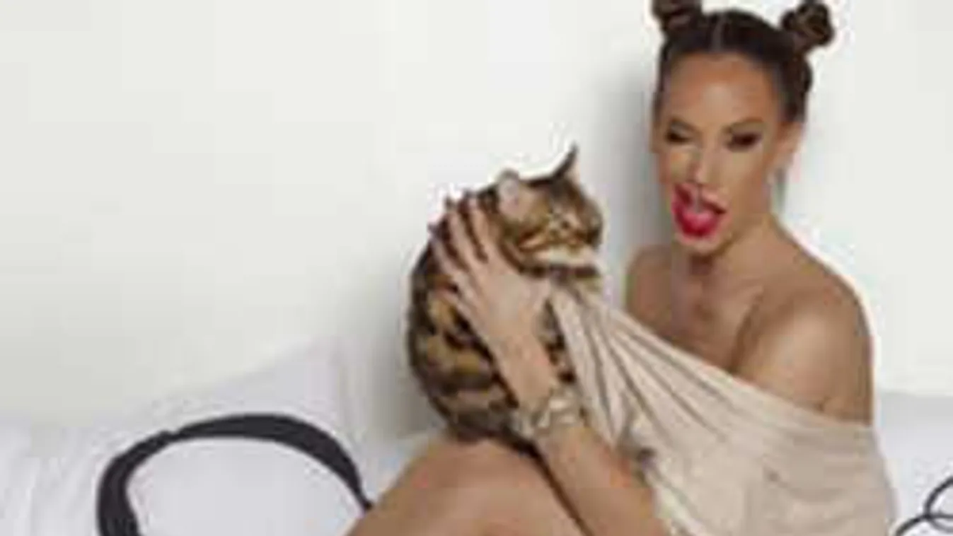 Egy macska sem élvezi úgy a luxust, mint Vajna Timi kedvencei