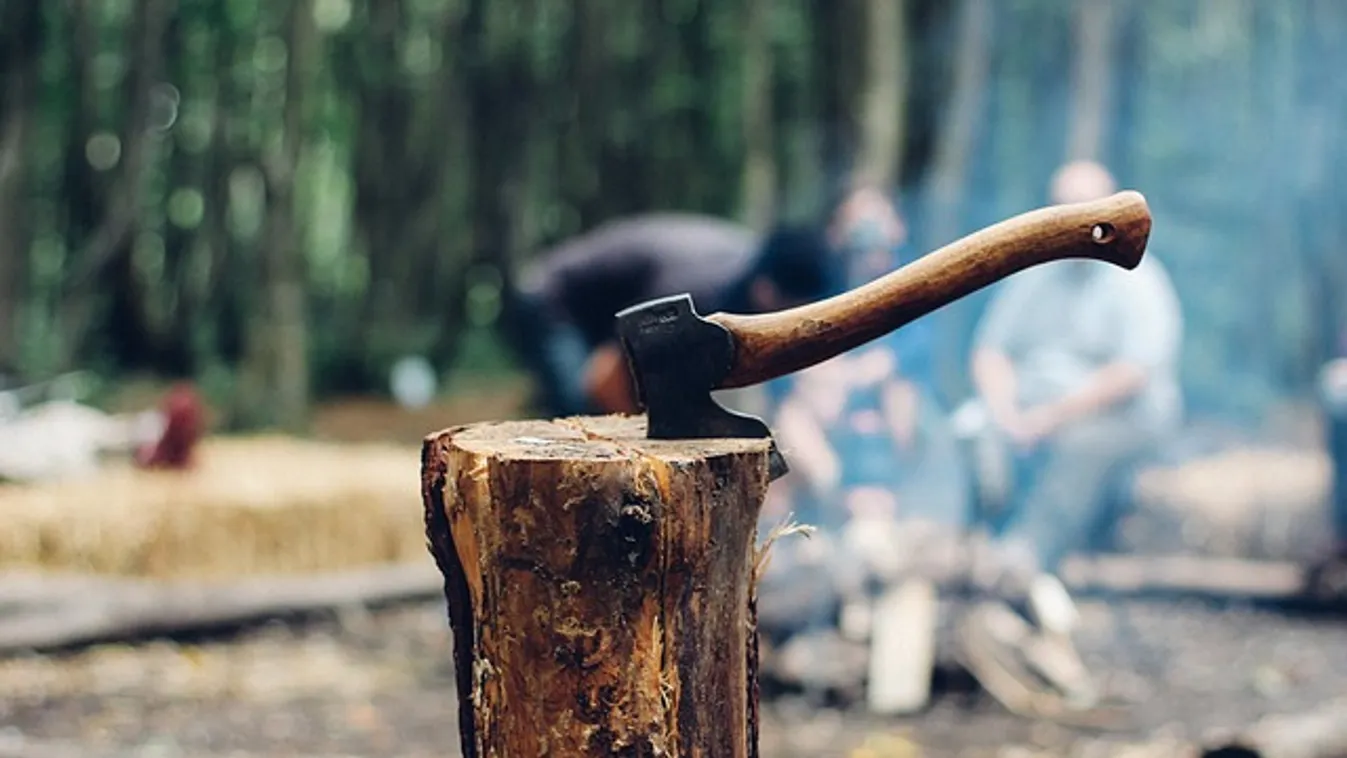 A tűzoltók megmentették a favágót