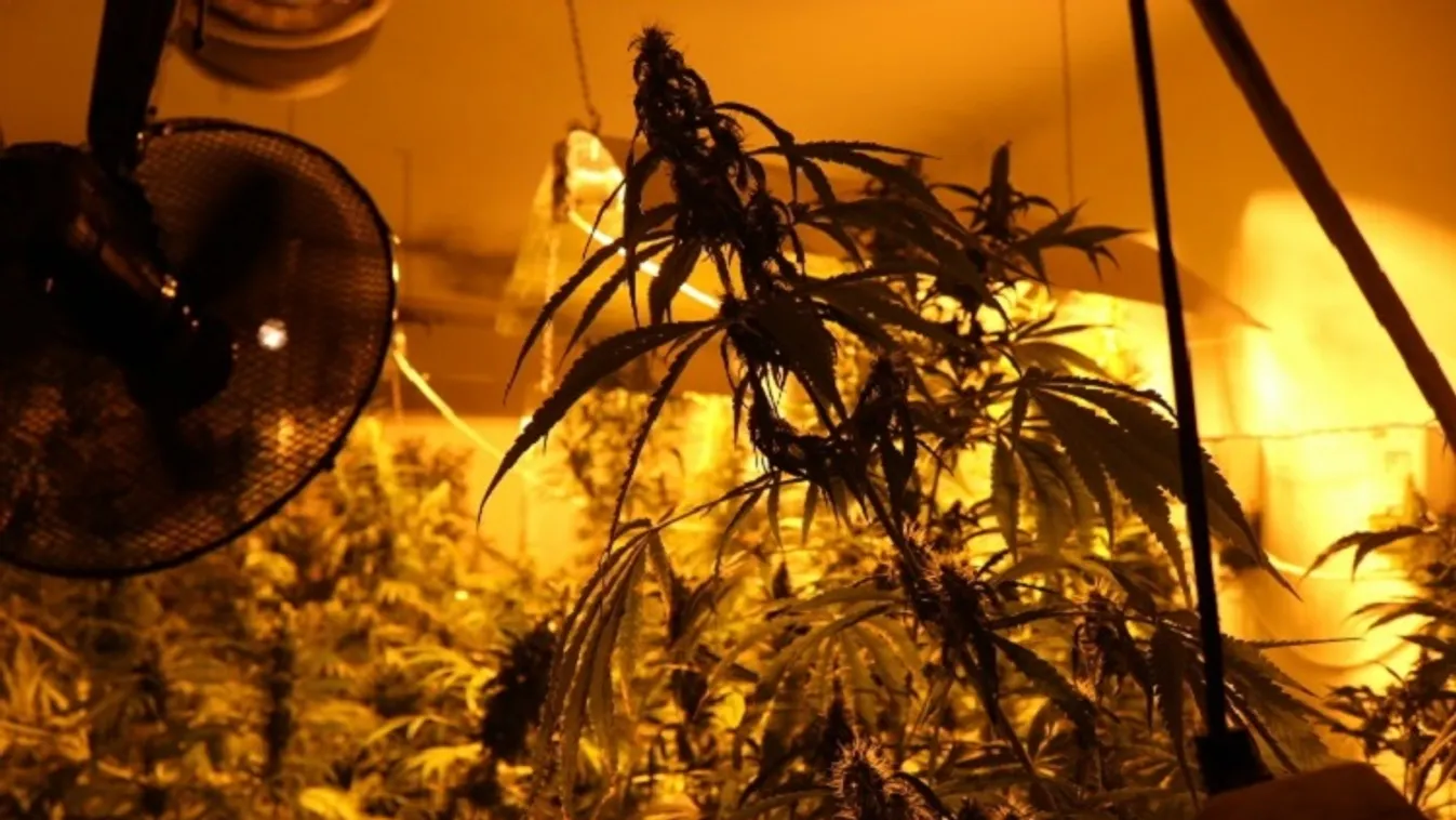 Csőtörés buktatta le az agyafúrt dílert