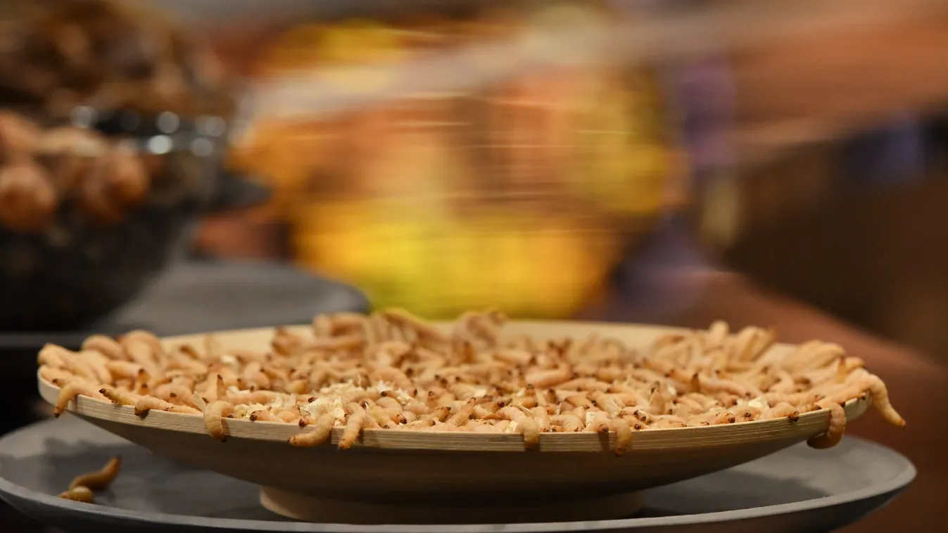 Döbbenet a Séfek Séfe konyhájában: Erre senki sem számított