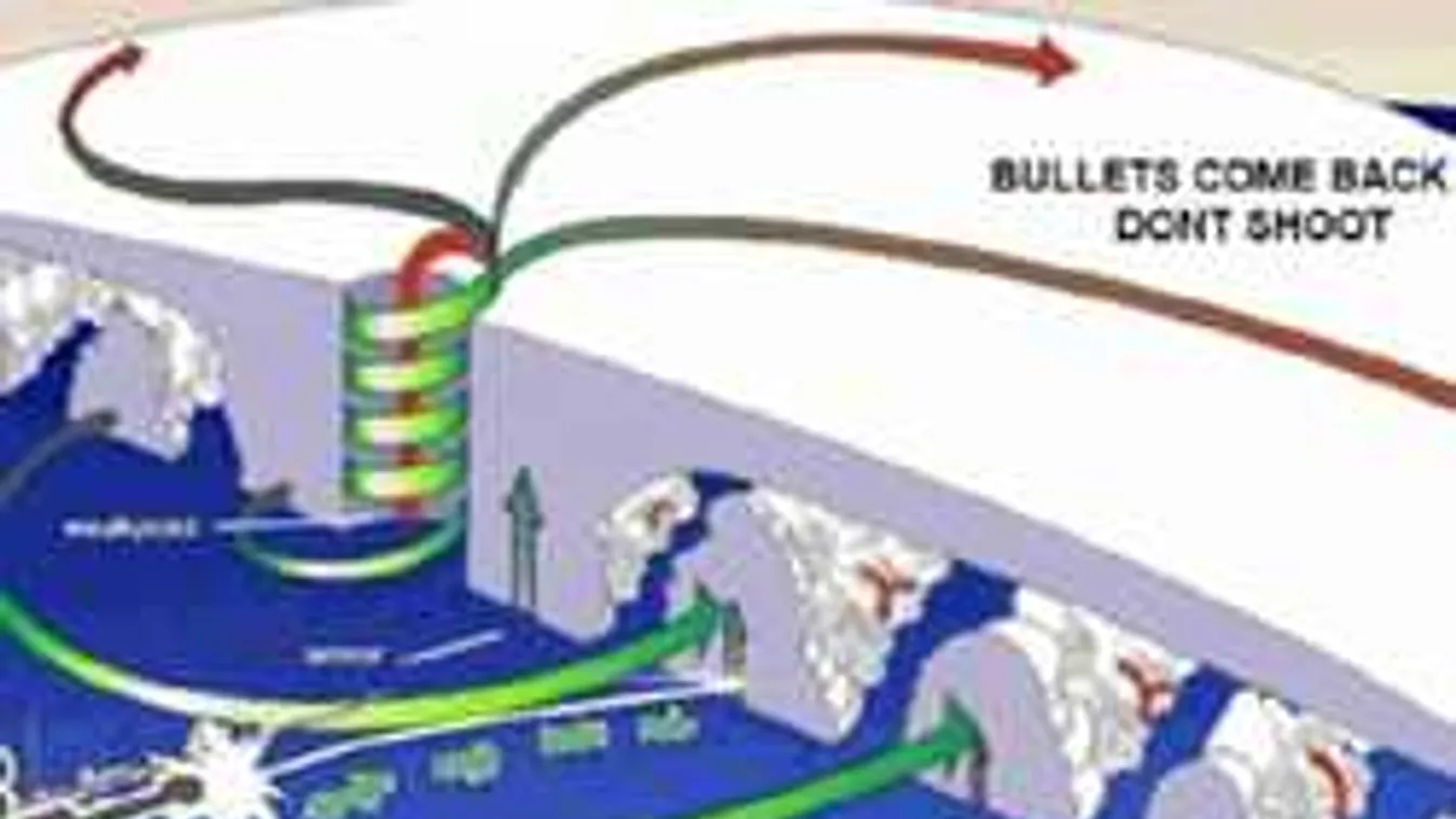Könyörgünk: Ne lőjetek az Irma hurrikánra!