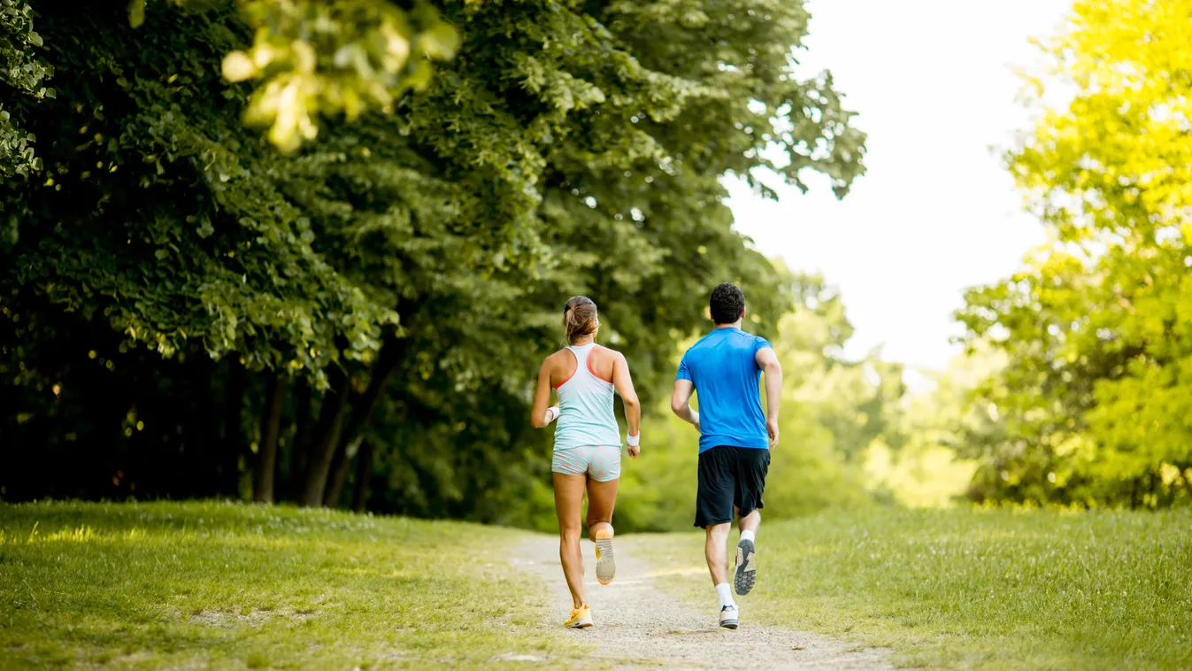 Ártalomcsökkentés és tudomány