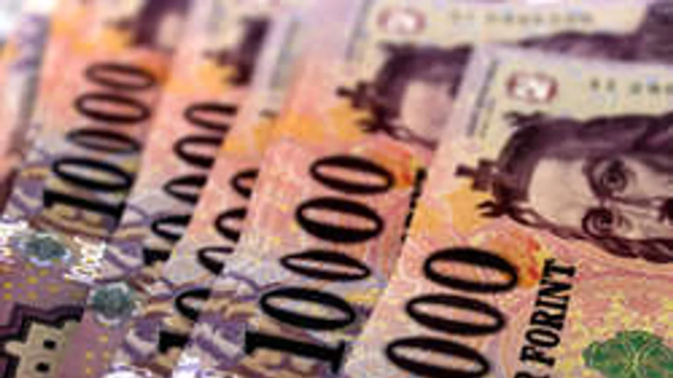 Félmilliós nyomravezetői díj a gyerekét ellopó magyar anyáért