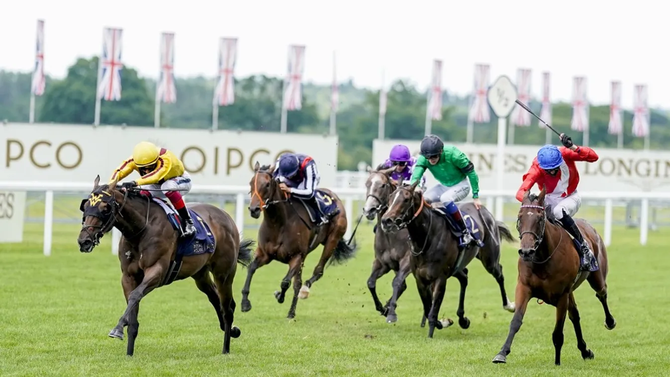 Új lehetőség, már erre is felrakhatják a tétjeiket a magyar sportfogadók