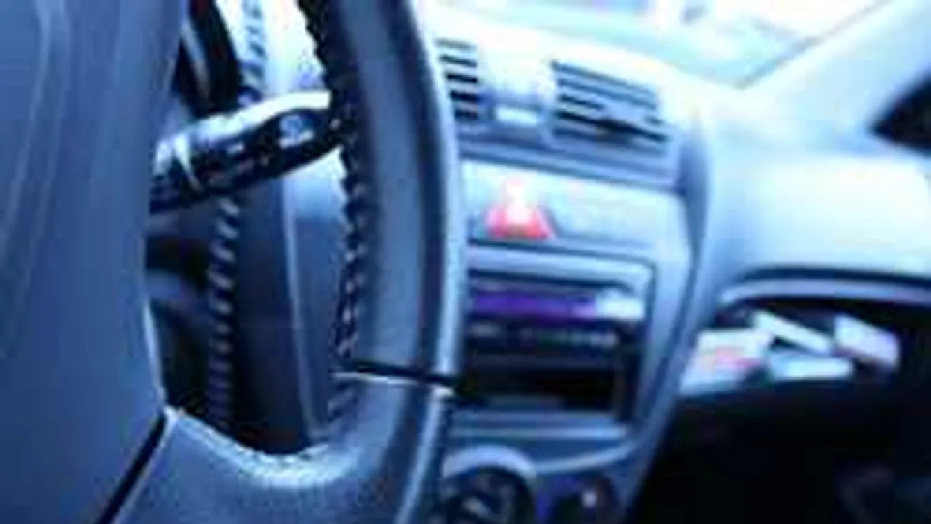 Borzalom: egymás mellett hevert a fiatalok holtteste a kocsiban