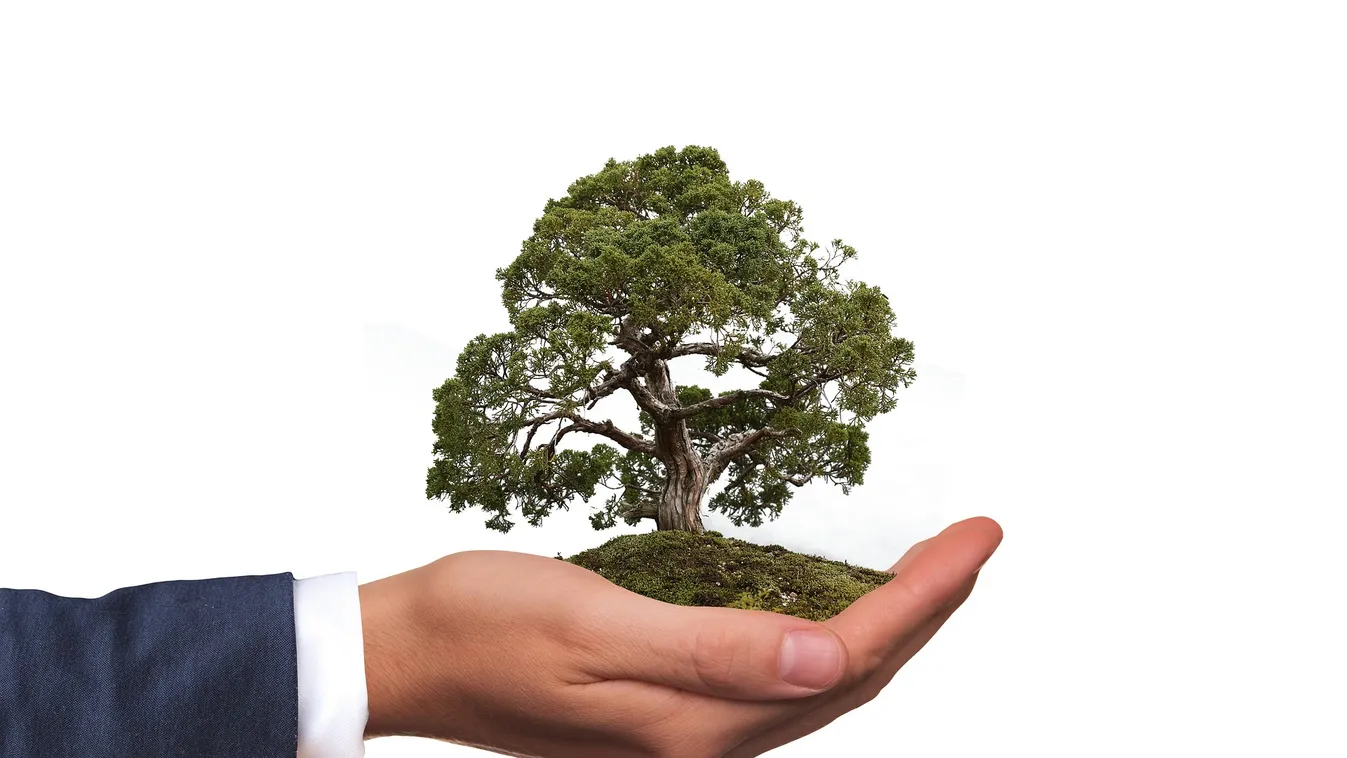 Zseniális kezdeményezés indult: ha rákattantál a környezetvédelemre, akkor ezt kattintani fogod!