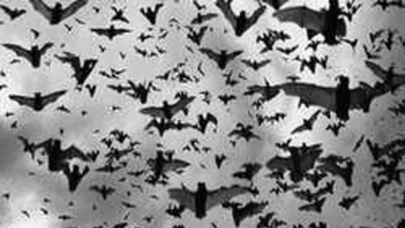 Hatalmas sipításra ébredt Ildikó: megtörtént, amire napok óta várt