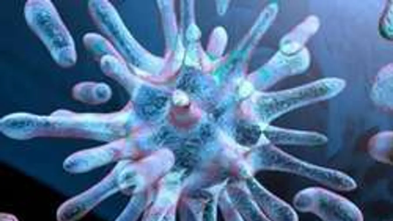 TBC-s beteg dolgozott a debreceni óvodában!