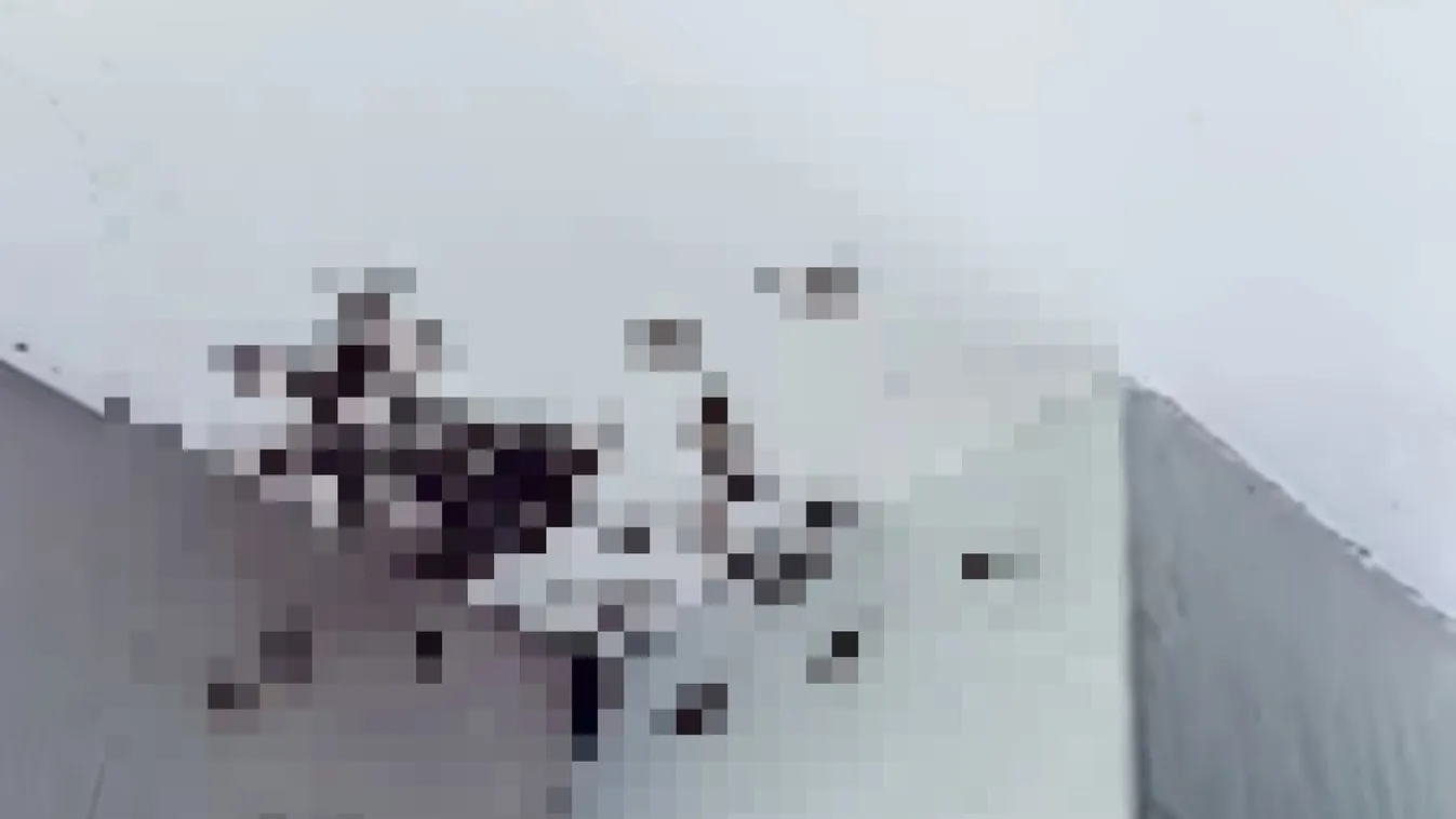 A legrosszabb rémálma fogadta a gyerekszobában az édesanyát