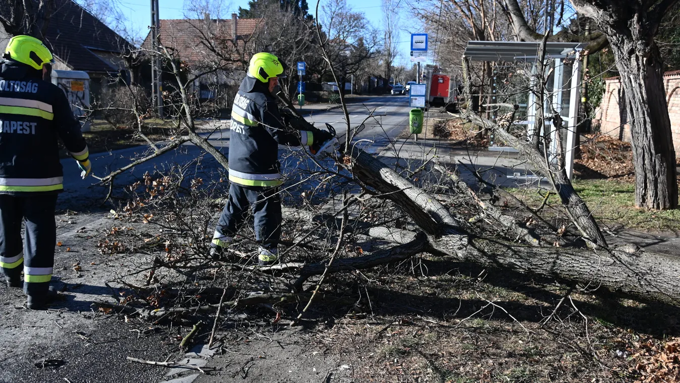 Ketten is megsérültek a mai viharban