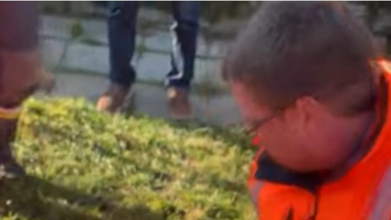 Sírva ölelte magához megmentett barátját az idős bácsi