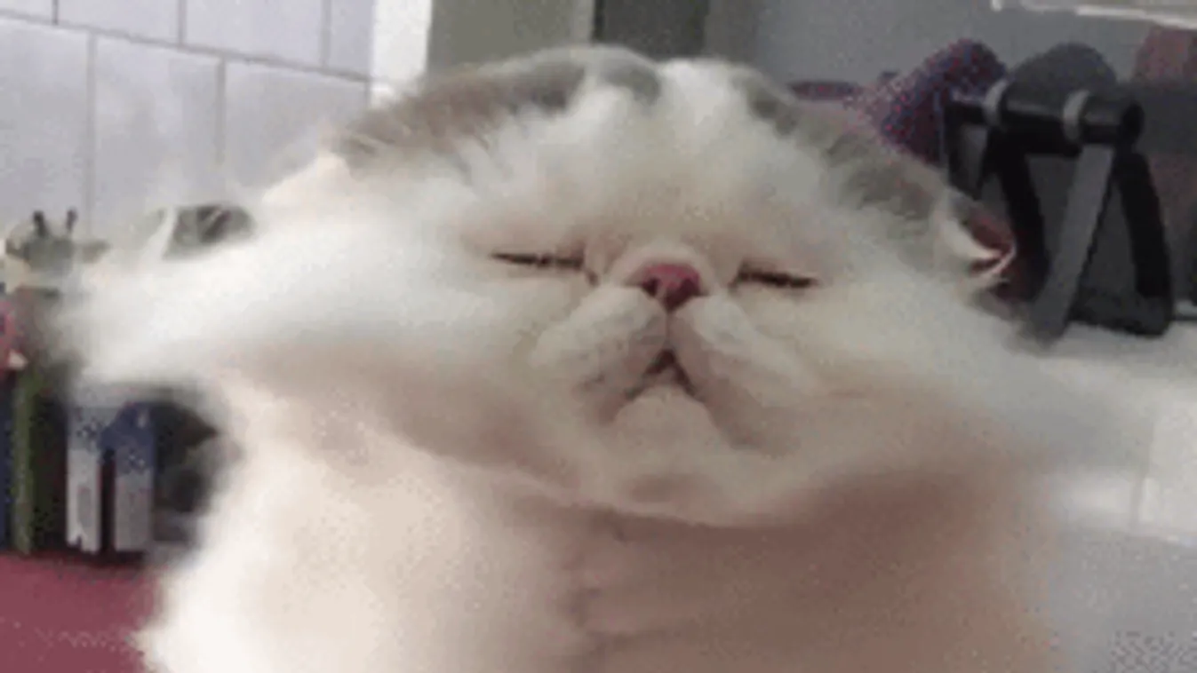 Újabb hidegfront közeleg, a reggeli időjárásban nem lesz köszönet