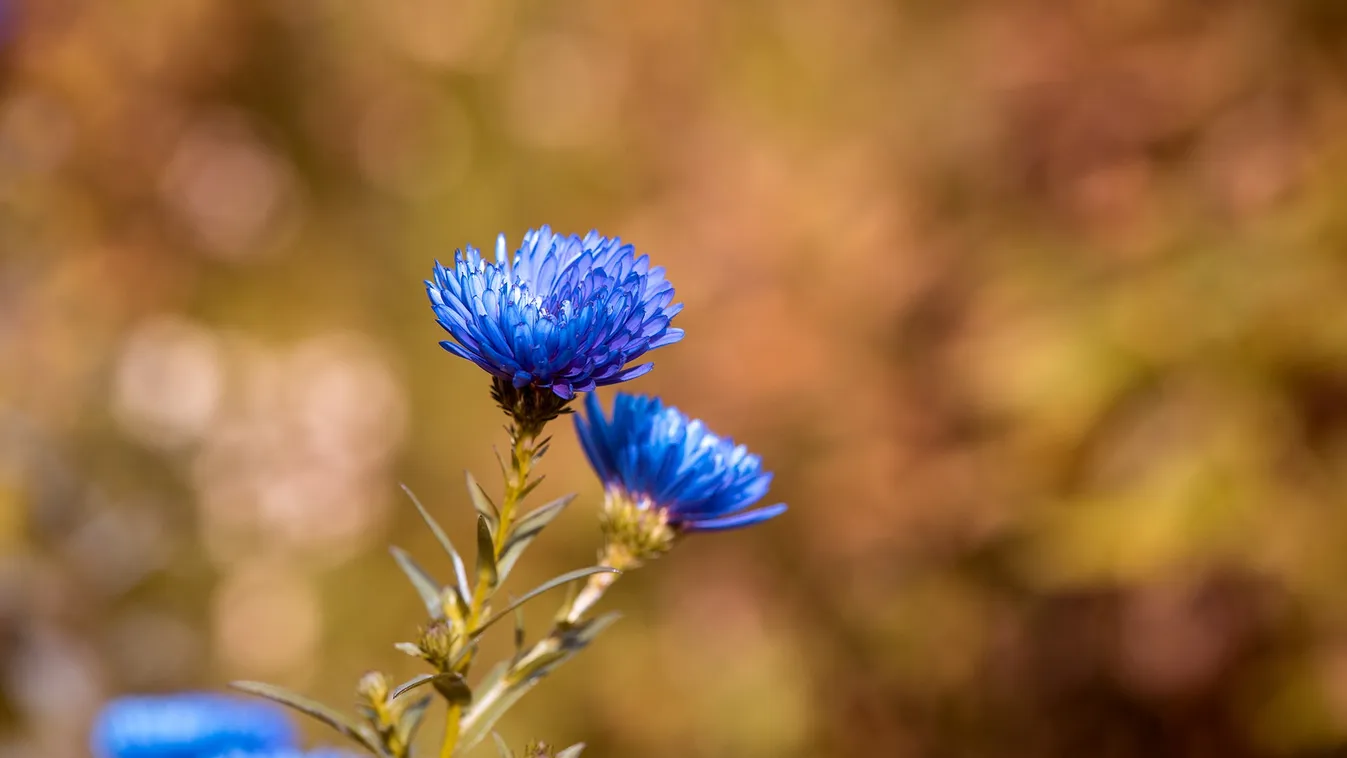 Használd ki a jó időt, még eddig élvezheted a meleget
