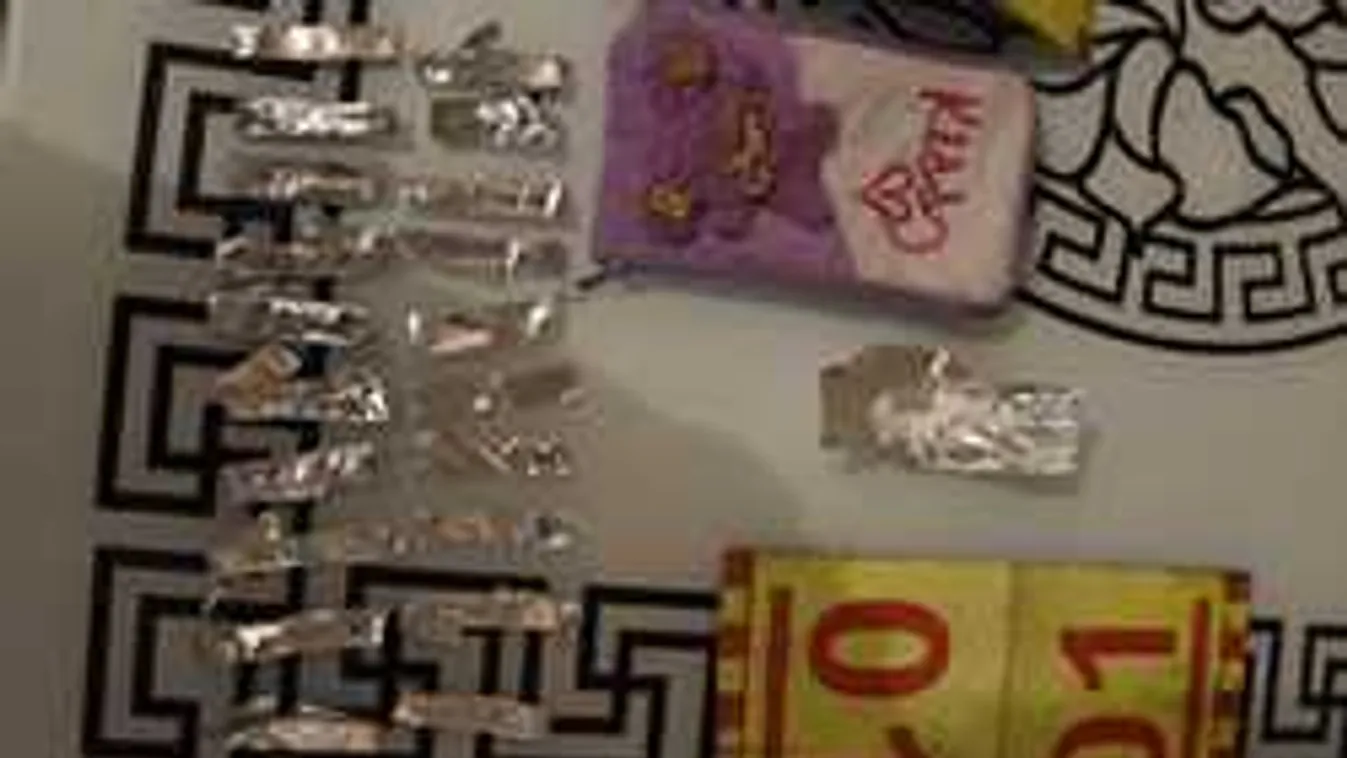 Bekamerázta a házát Mária, a rendőrök se számítottak arra, mit látnak