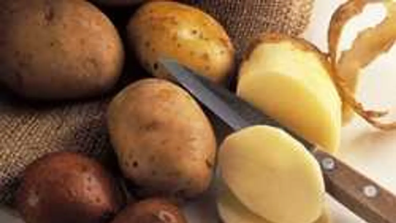 Ilyen még nem volt: krumplit akarnak termeszteni a Holdon