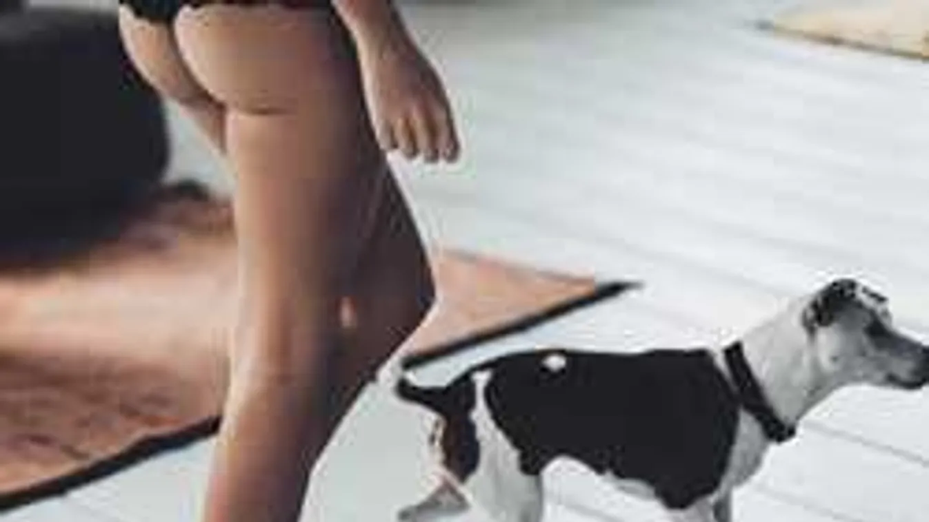 Senki nem sétáltat olyan szexin kutyát, mint a csipkebugyis Emily