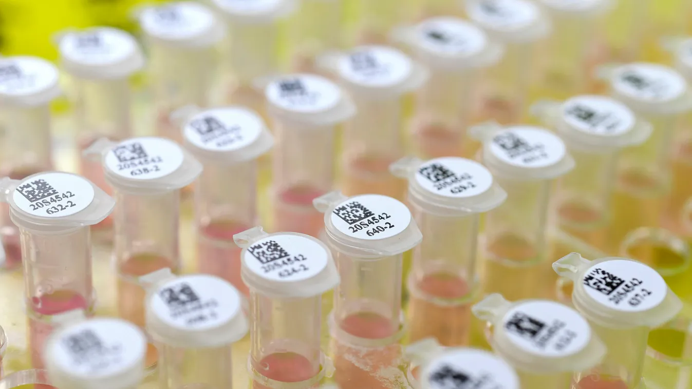 A koronavírus miatt halasztották el a focibajnokság rajtját