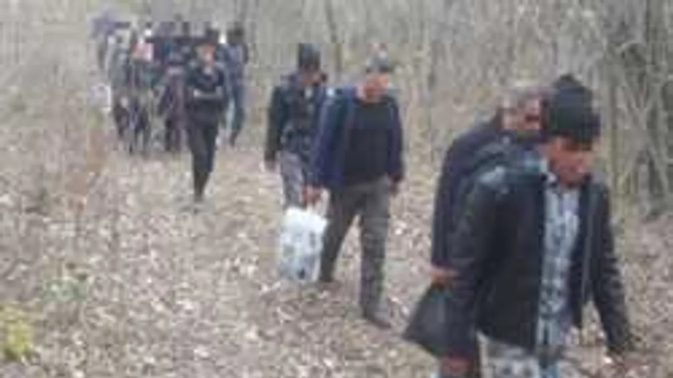 Harminc illegális migránst fogtak Szegednél, a Tisza árterében