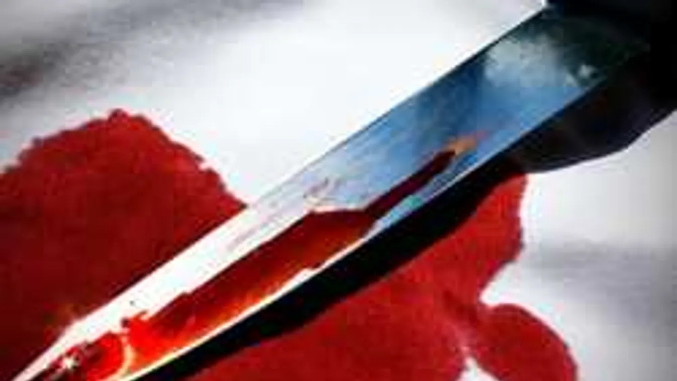 56 késszúrás: a fiú végighallgatta édesanyja meggyilkolását