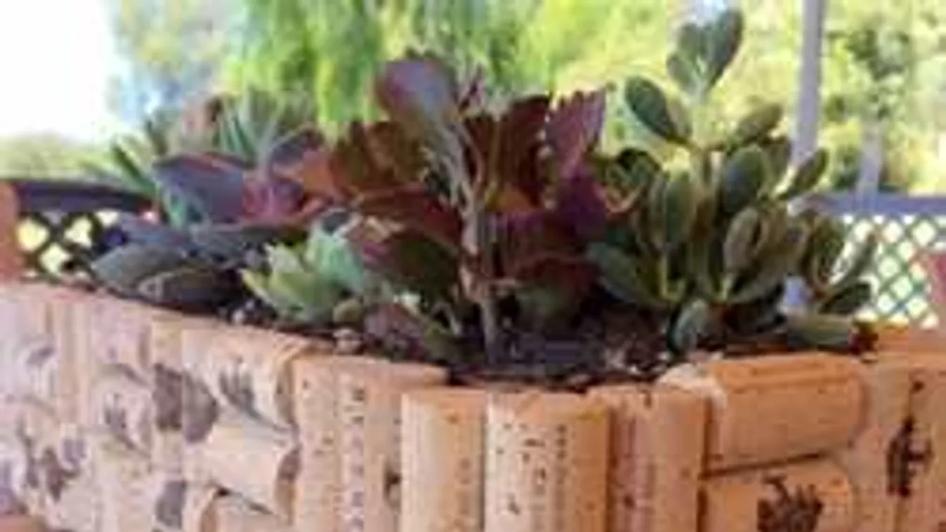 Ne dobd ki a parafadugót, szuper, mit készíthetsz belőle